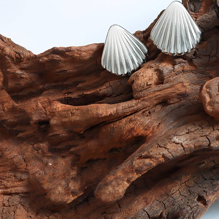 SEASHELL ΑΤΣΑΛΙΝΑ ΣΚΟΥΛΑΡΙΚΙΑ BESCE0116